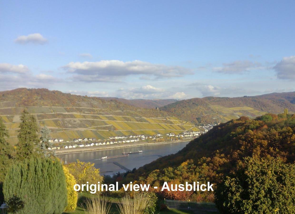 Schau-Rhein#1 - On Top Of Bacharach, Rhineview Eksteriør billede